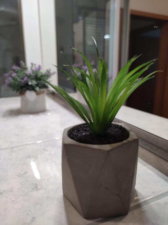 Apartment Sve U 5 Minuta Zadar Zewnętrze zdjęcie